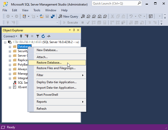 Fig. 1 Select database restore